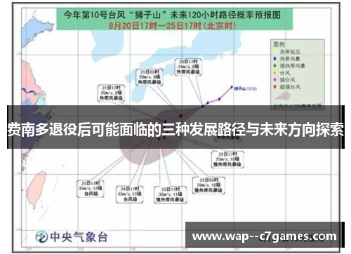 费南多退役后可能面临的三种发展路径与未来方向探索